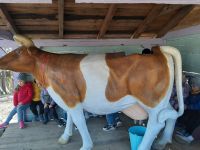 IMG-20220324-WA0009