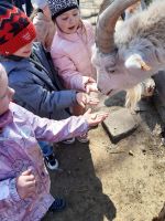 IMG-20220324-WA0013