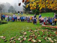 IMG-20211117-WA0000