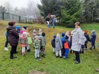 IMG-20211117-WA0022