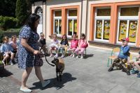 IMG_1924
