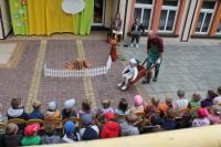 IMG_1941