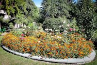 IMG_3729